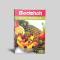 BADSHAH CHAT MASALA  120X100 GM MC